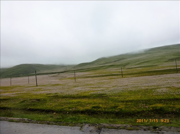 P1000680.jpg