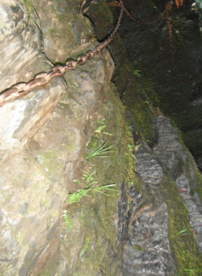 DSCF4365.JPG