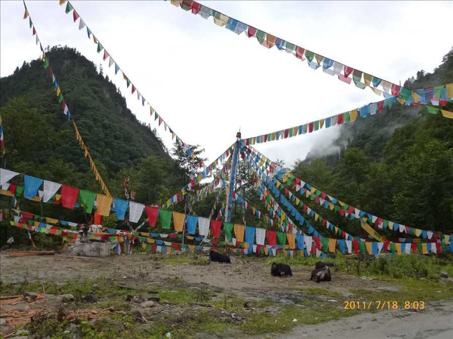 P1010169.jpg
