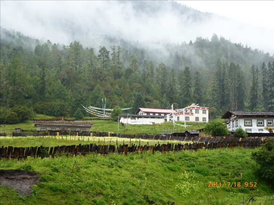 P1010227.jpg