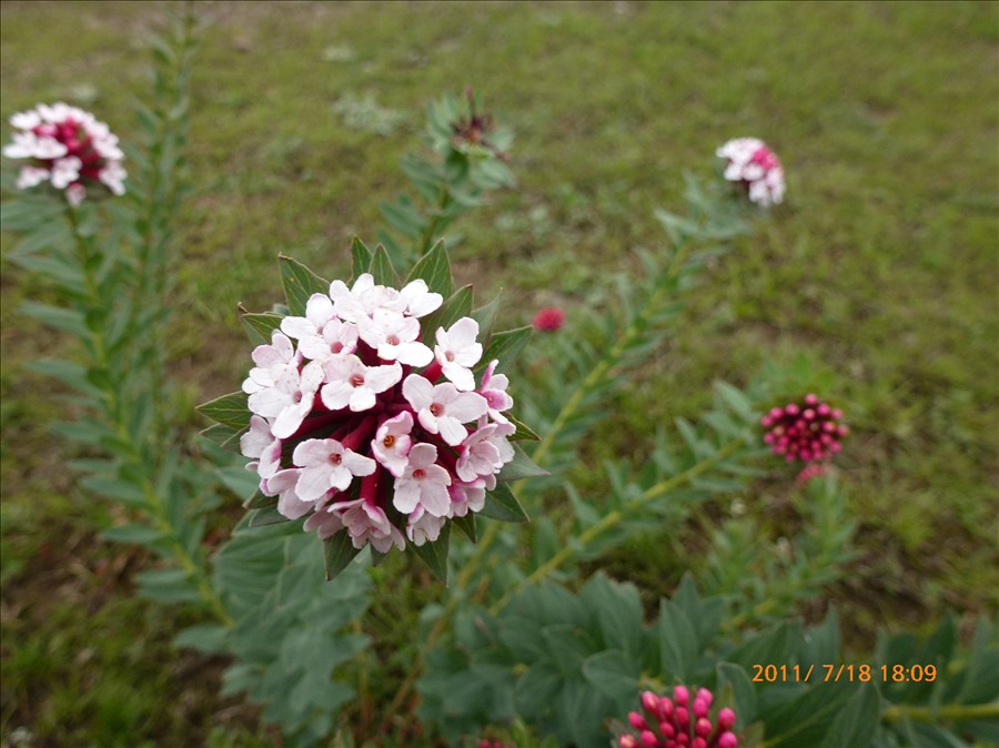 P1010341.JPG
