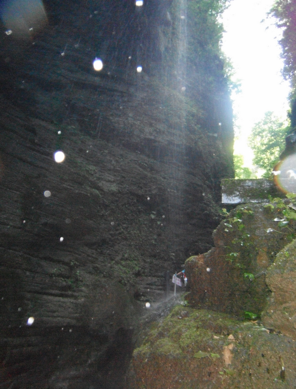 DSCF4358.jpg