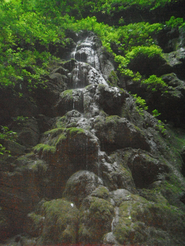 DSCF4370.jpg