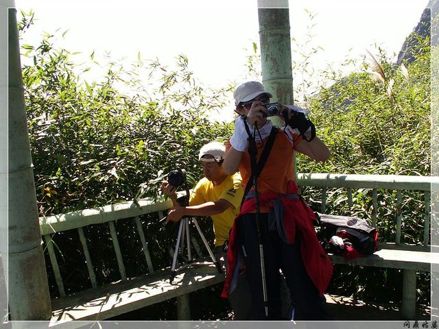 PICT9606.jpg