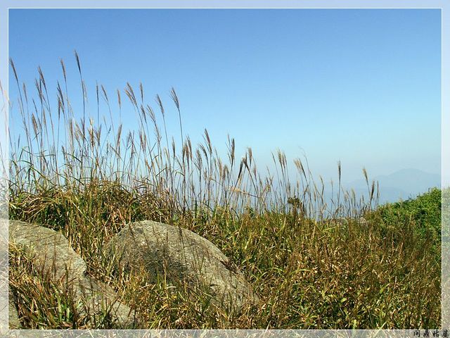 PICT9621.jpg