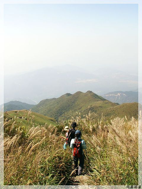 PICT9646.jpg