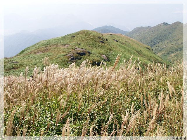 PICT9647.jpg