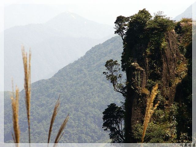 PICT9651.jpg