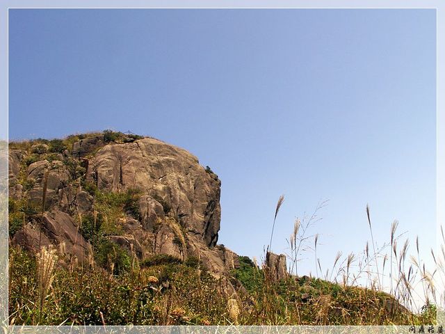 PICT9652.jpg