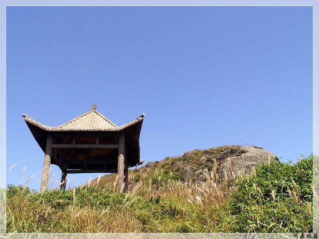 PICT9655.jpg
