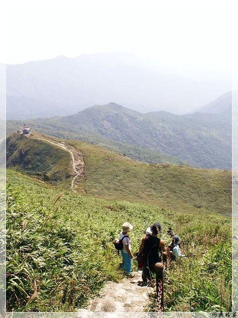 PICT9656.jpg