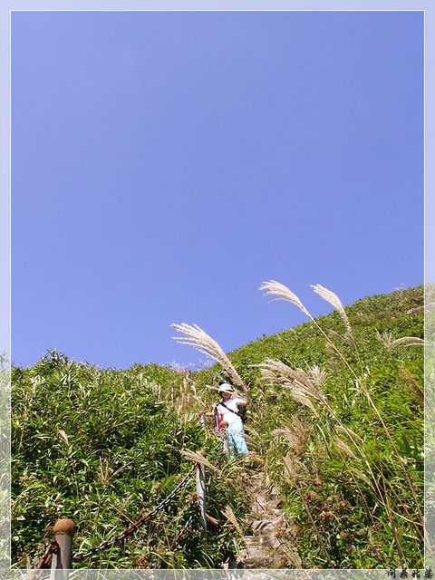 PICT9657.jpg