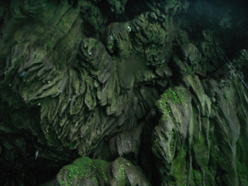 DSCF4777.jpg