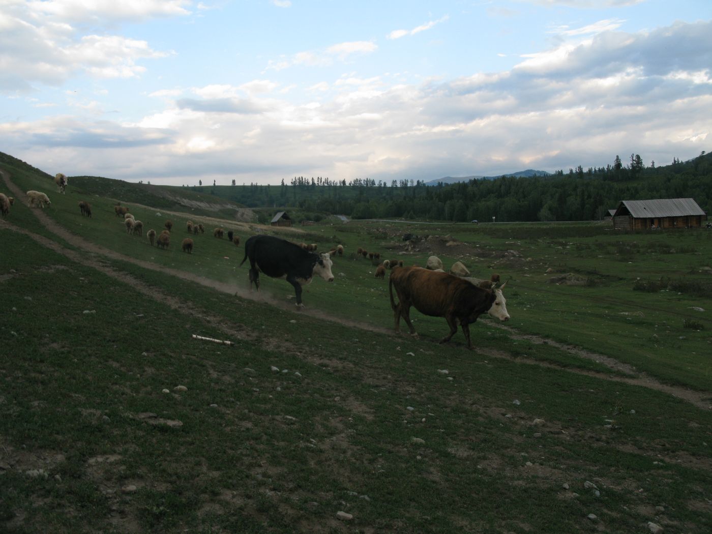 IMG_1353.JPG