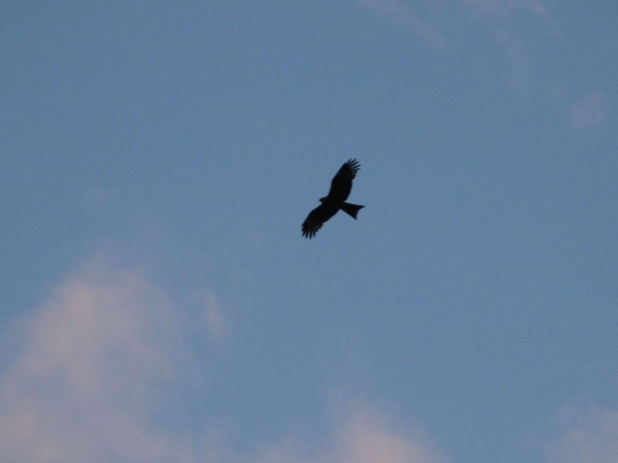 IMG_1432.JPG