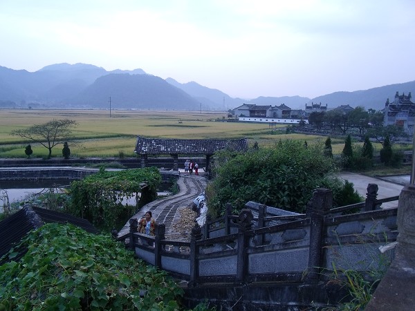 DSCF0412.jpg