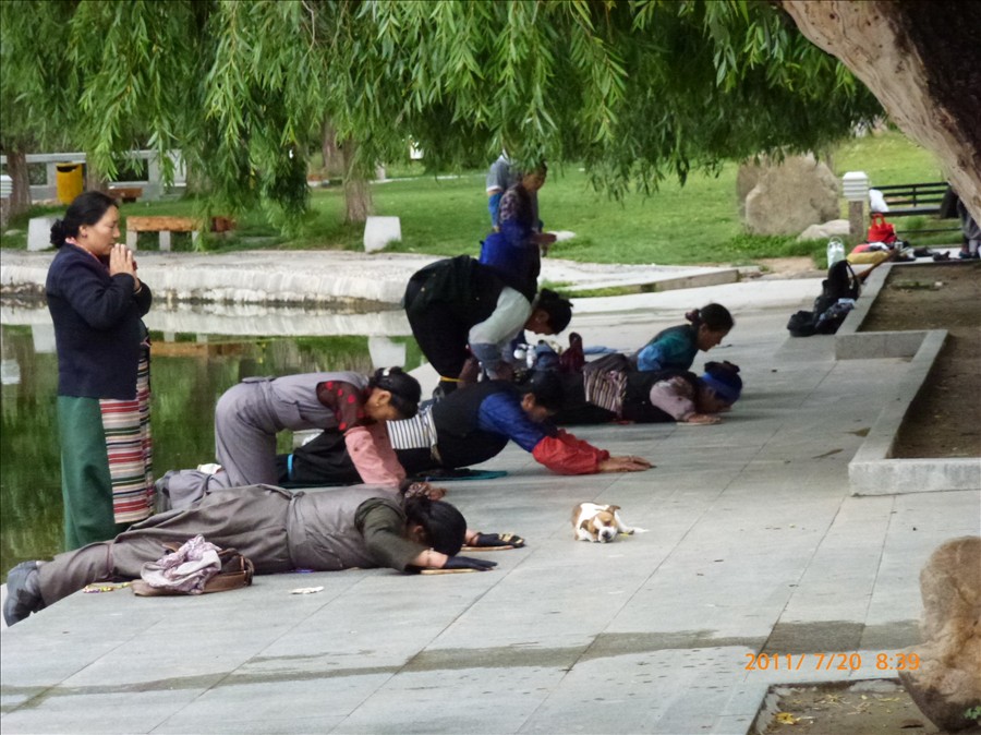 P1010445.jpg