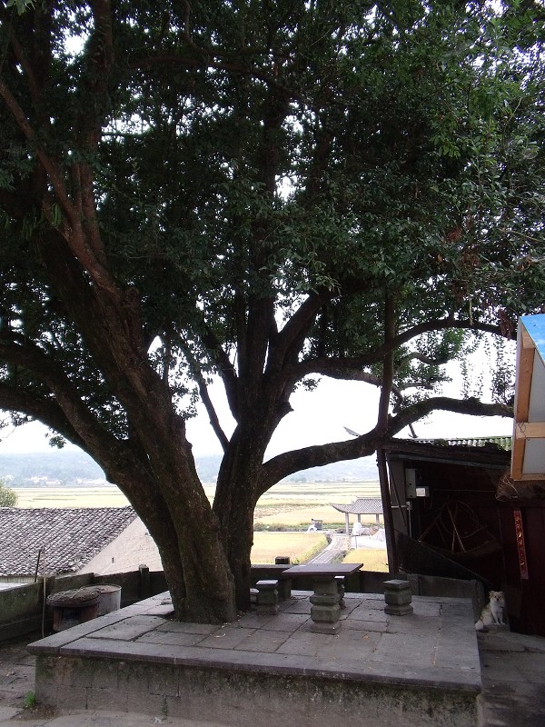 DSCF0465.jpg