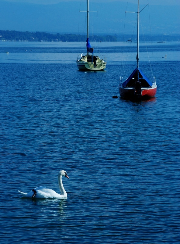 DSC_1222.jpg