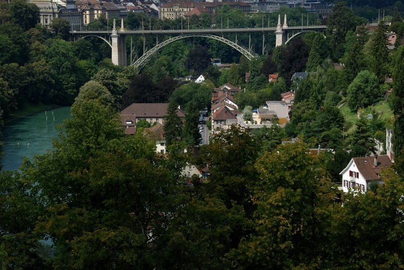 DSC_0610.jpg