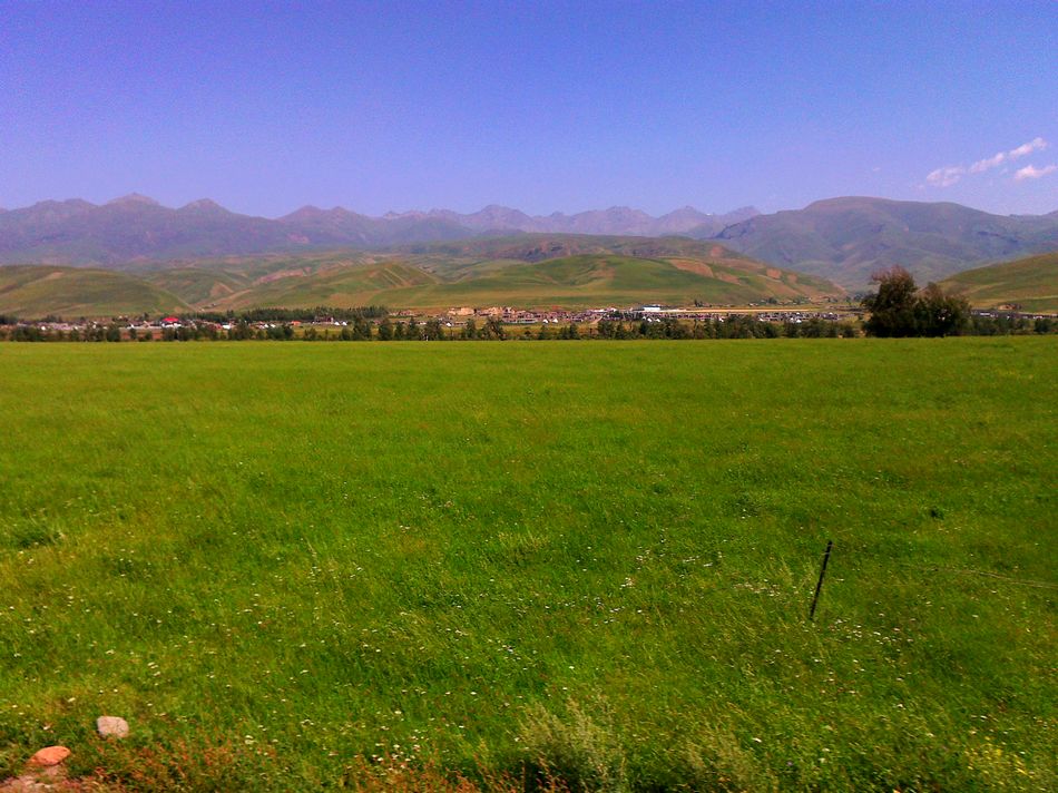 20110807209.jpg