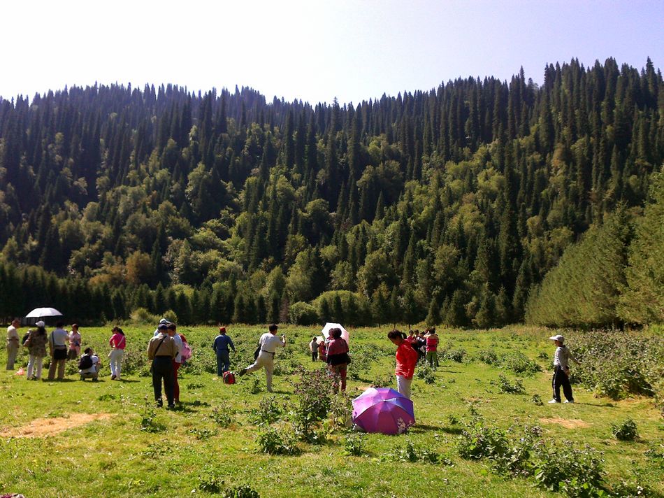 20110807208.jpg
