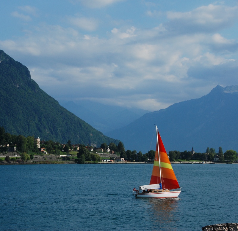 DSC_0065.jpg