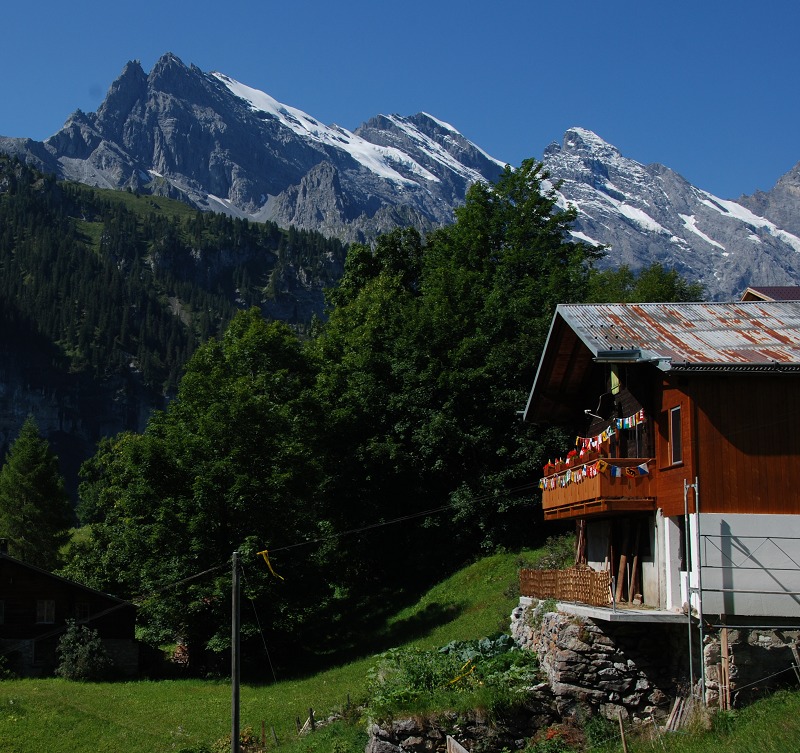 DSC_0882.jpg