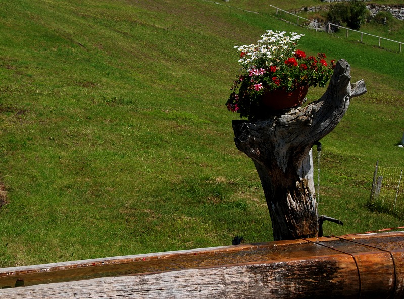 DSC_0962.jpg
