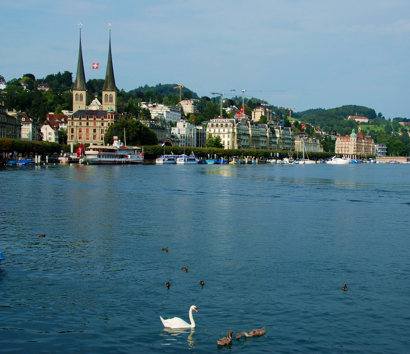 DSC_1253.jpg