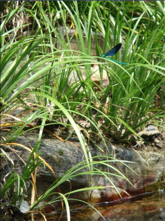 δ����.jpg