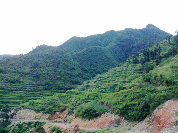 201108201297_����.jpg