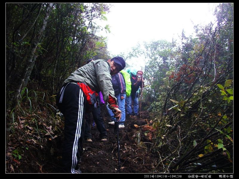 SANY4625.jpg