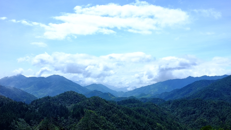 DSCF35411.jpg