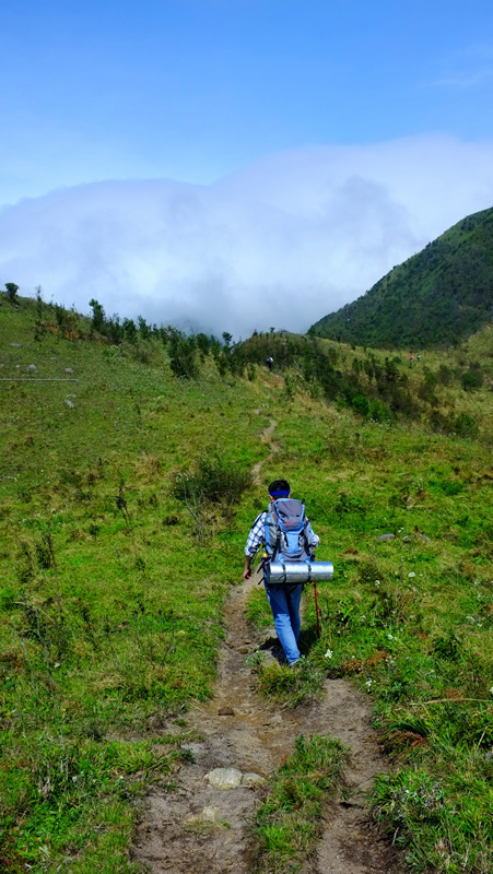 DSCF35751.jpg
