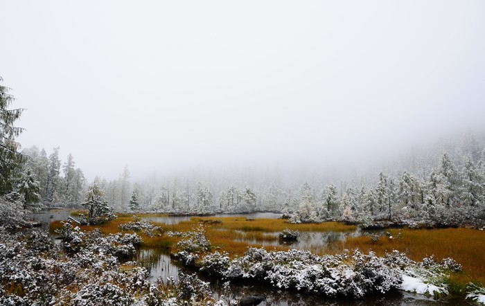 DSC_1048.jpg