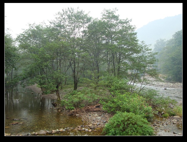 nEO_IMG_DSC08656.jpg