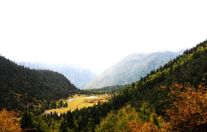 DSC_1085.jpg