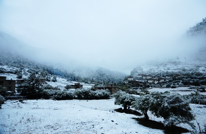 DSC_1087.jpg