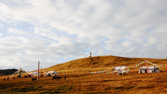 DSC_1193.jpg