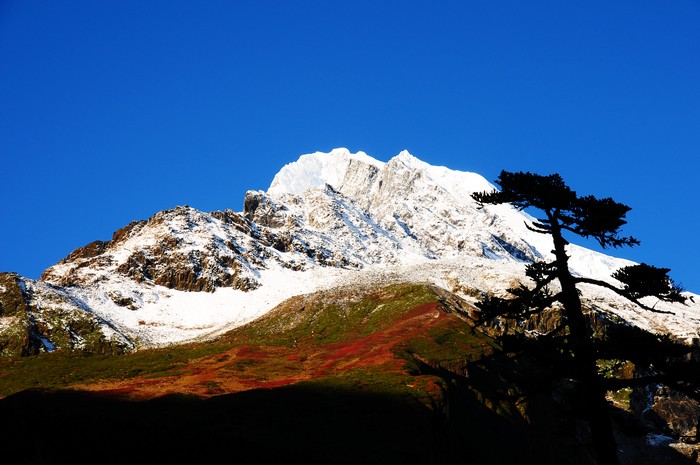 DSC_1409.jpg