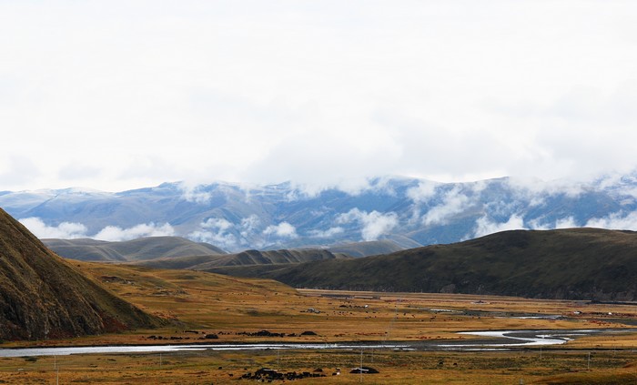 DSC_1253.jpg