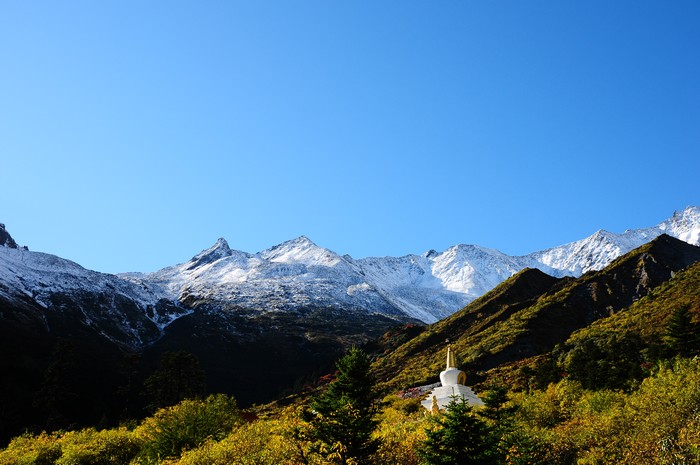 DSC_1547.jpg