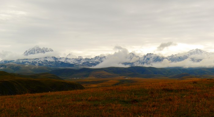 P1010127.jpg