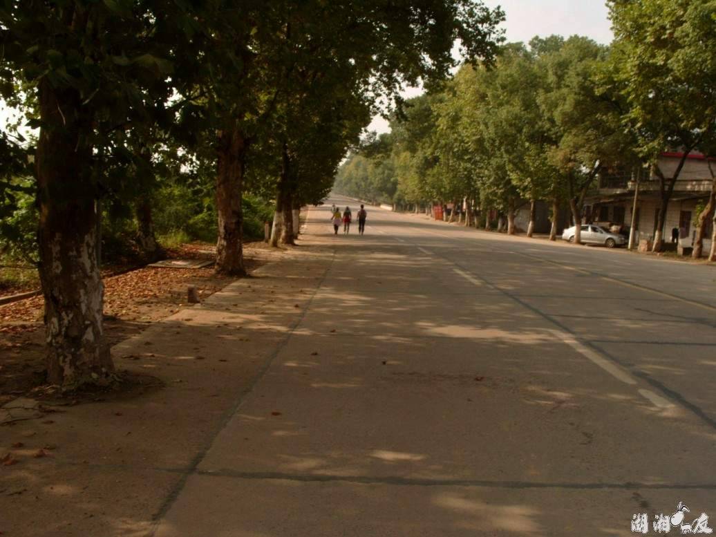 conew_s1053704.jpg