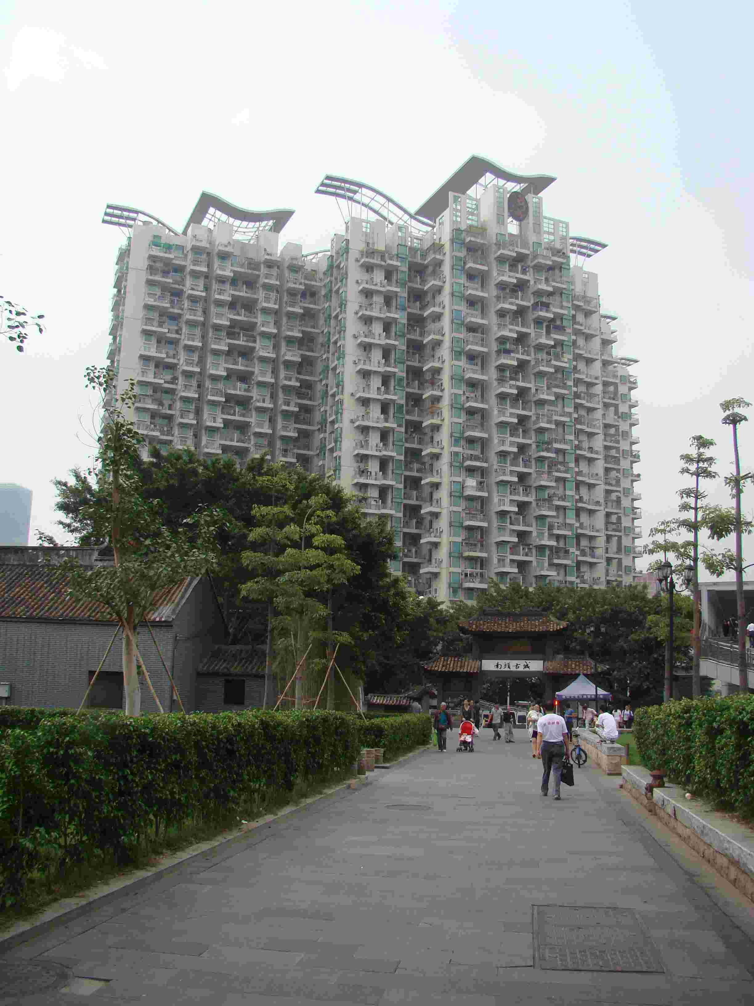 DSC06937.jpg