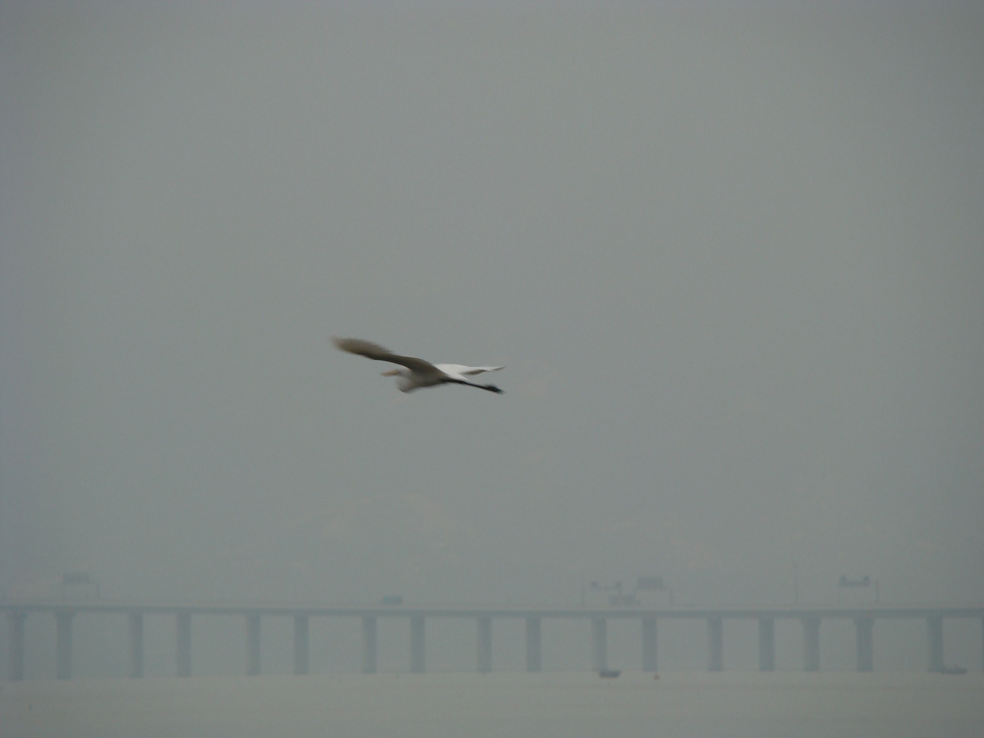 DSC06893.jpg