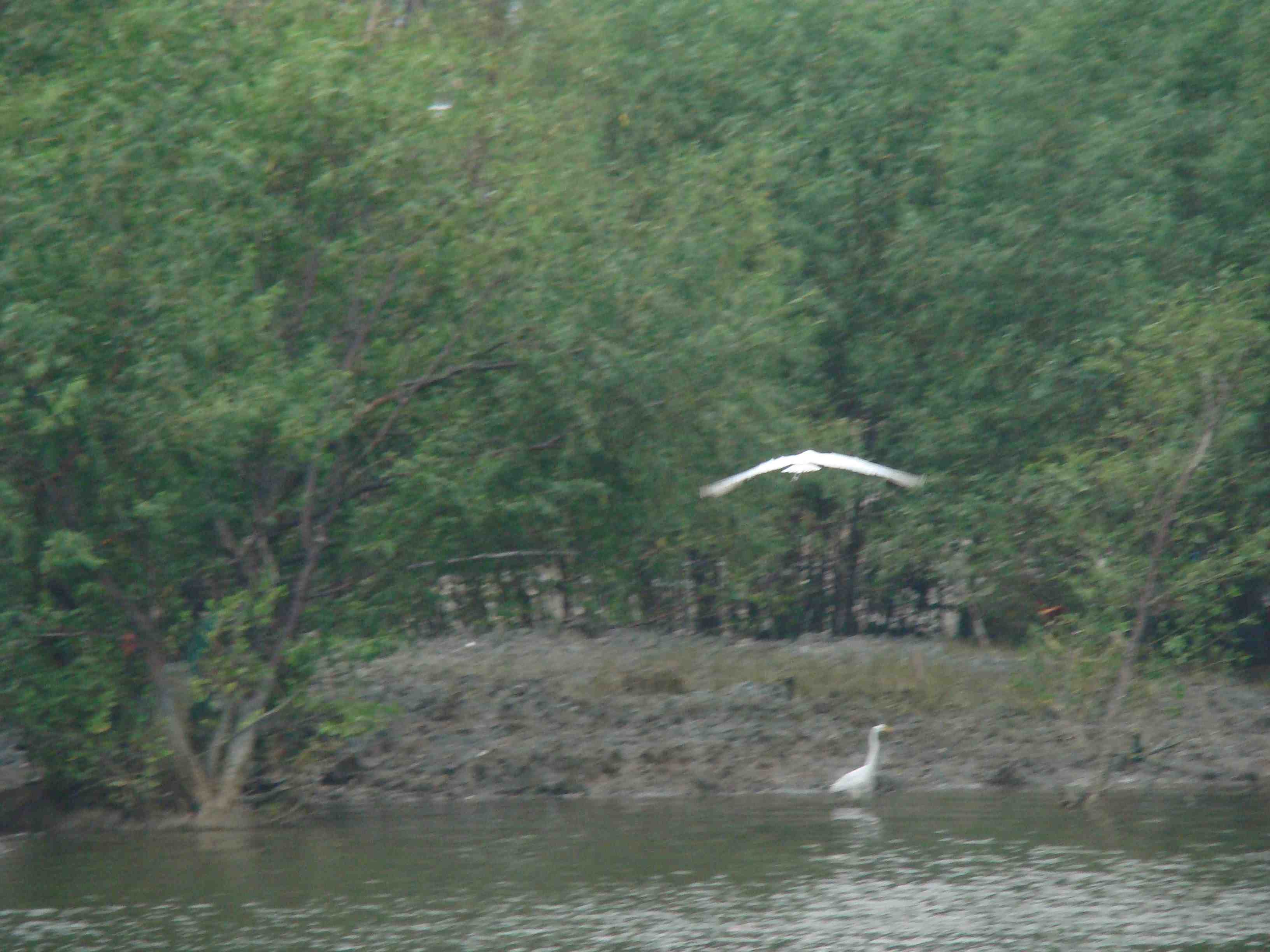 DSC06890.jpg