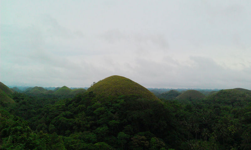 IMAG0113.jpg