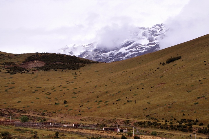 DSC_0331a.jpg